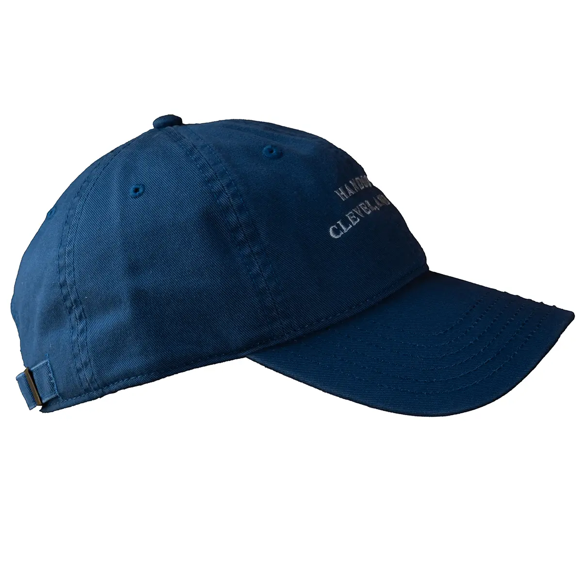 Handsome, Clever and, Rich Cap - Image 5