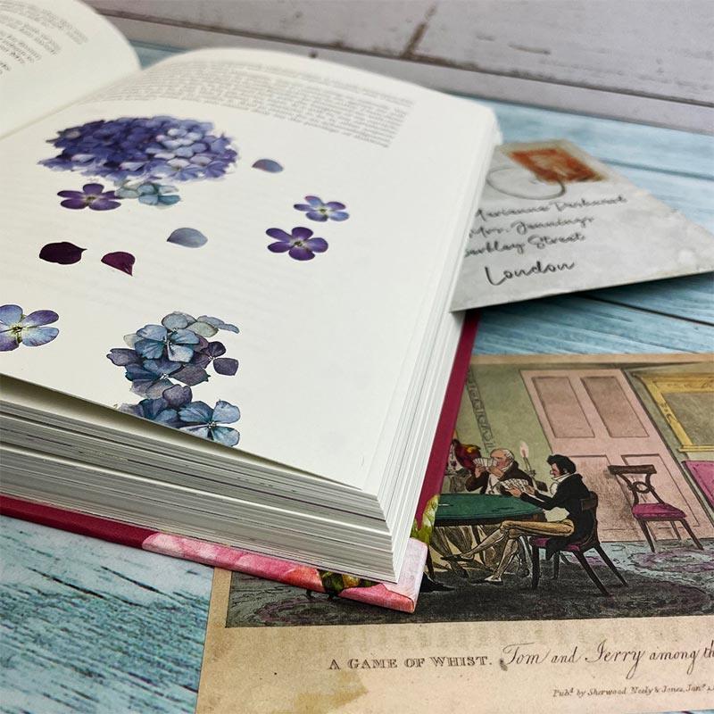 Sense and Sensibility by Jane Austen Illustrated Hardback - Image 3