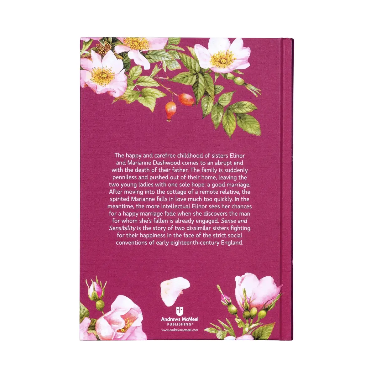 Sense and Sensibility by Jane Austen Illustrated Hardback - Image 7