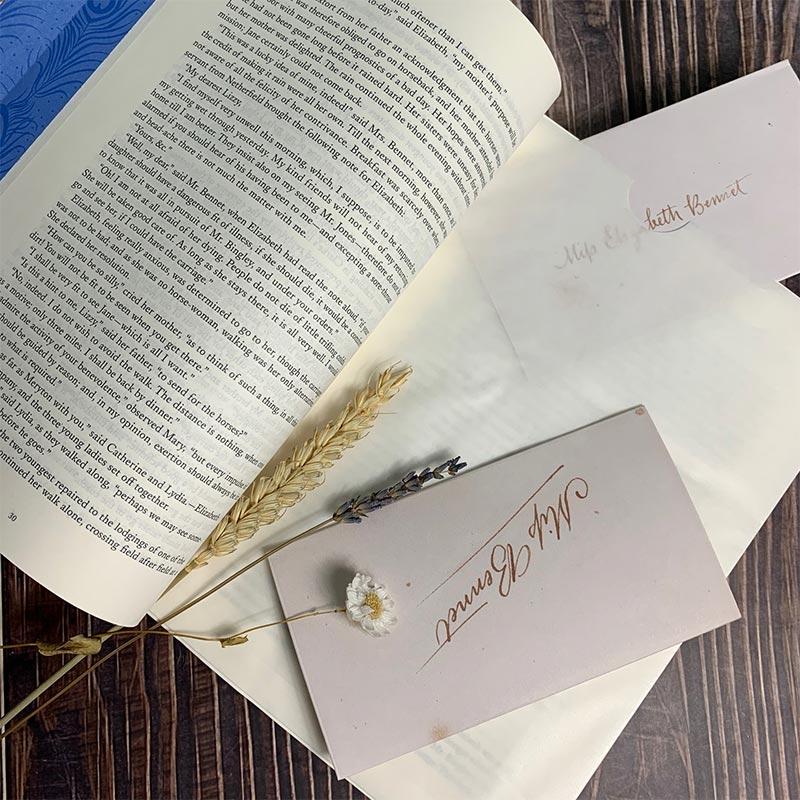 Pride and Prejudice Deluxe Edition - Curated by Barbara Heller - Image 4