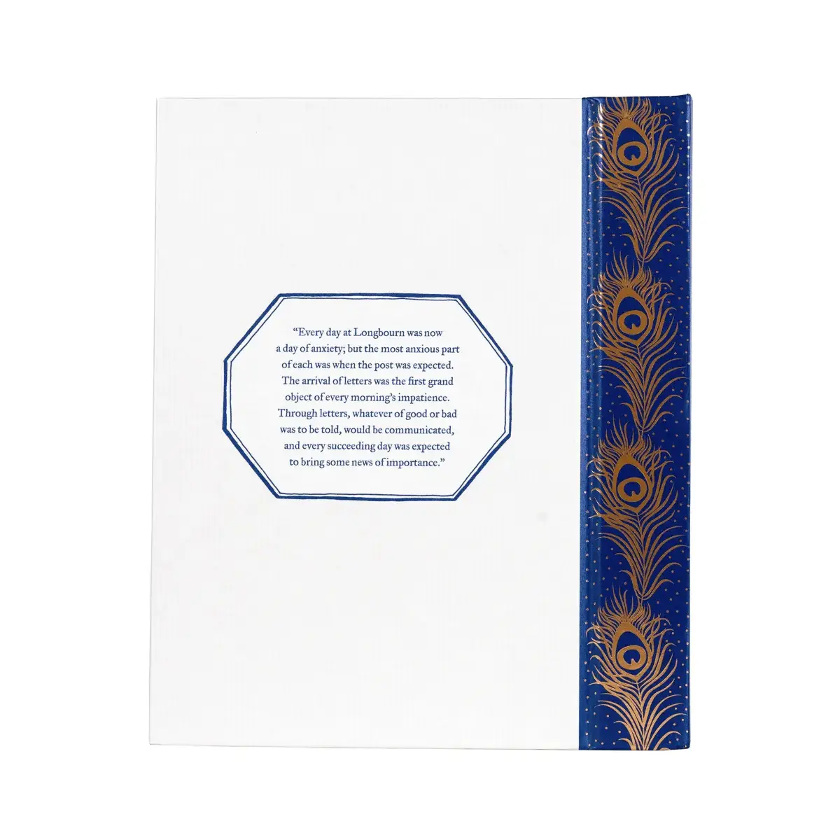 Pride and Prejudice Deluxe Edition - Curated by Barbara Heller - Image 5