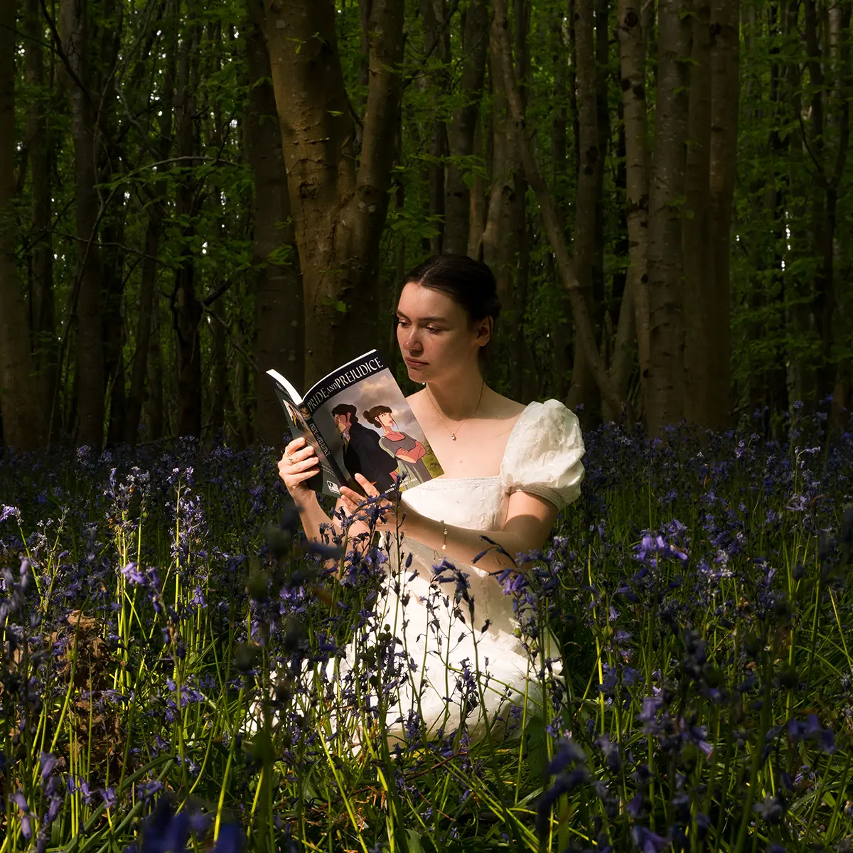 Pride and Prejudice Graphic Novel - Image 4