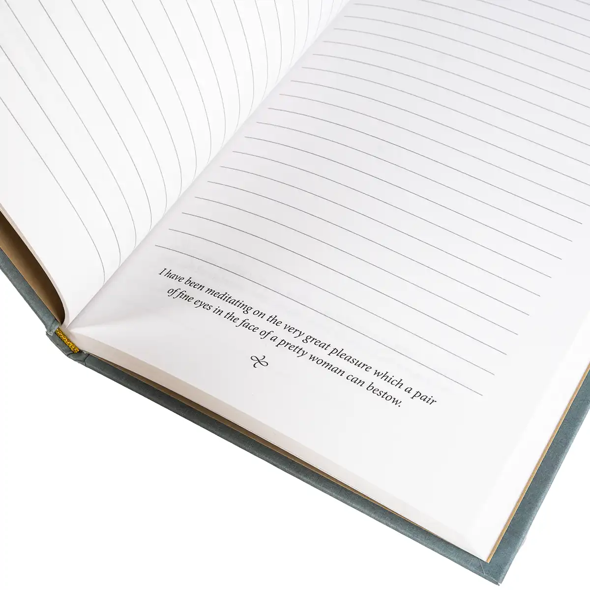 Pride and Prejudice Hardback Reading Journal - Image 2
