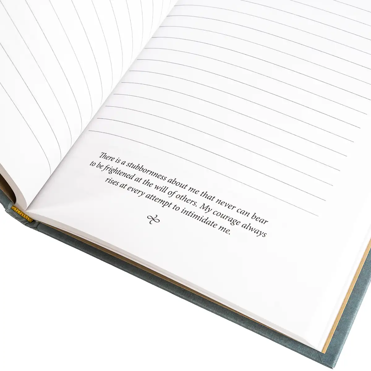 Pride and Prejudice Hardback Reading Journal - Image 7