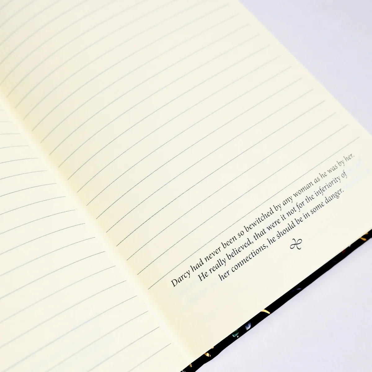 Pride and Prejudice Reading Journal - Image 2