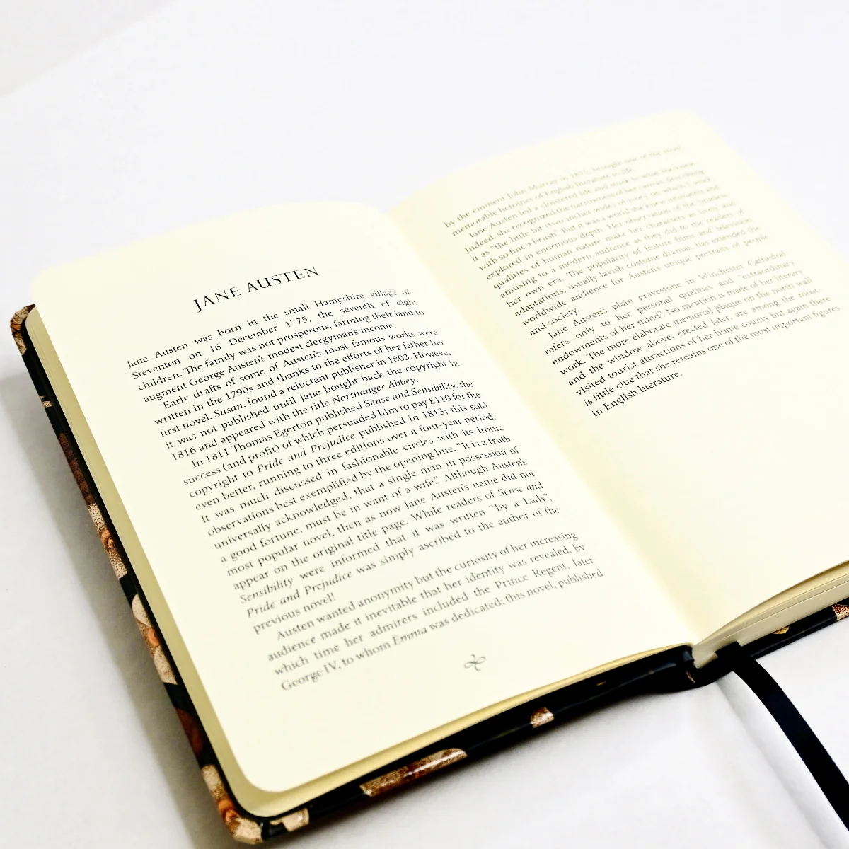 Pride and Prejudice Reading Journal - Image 3